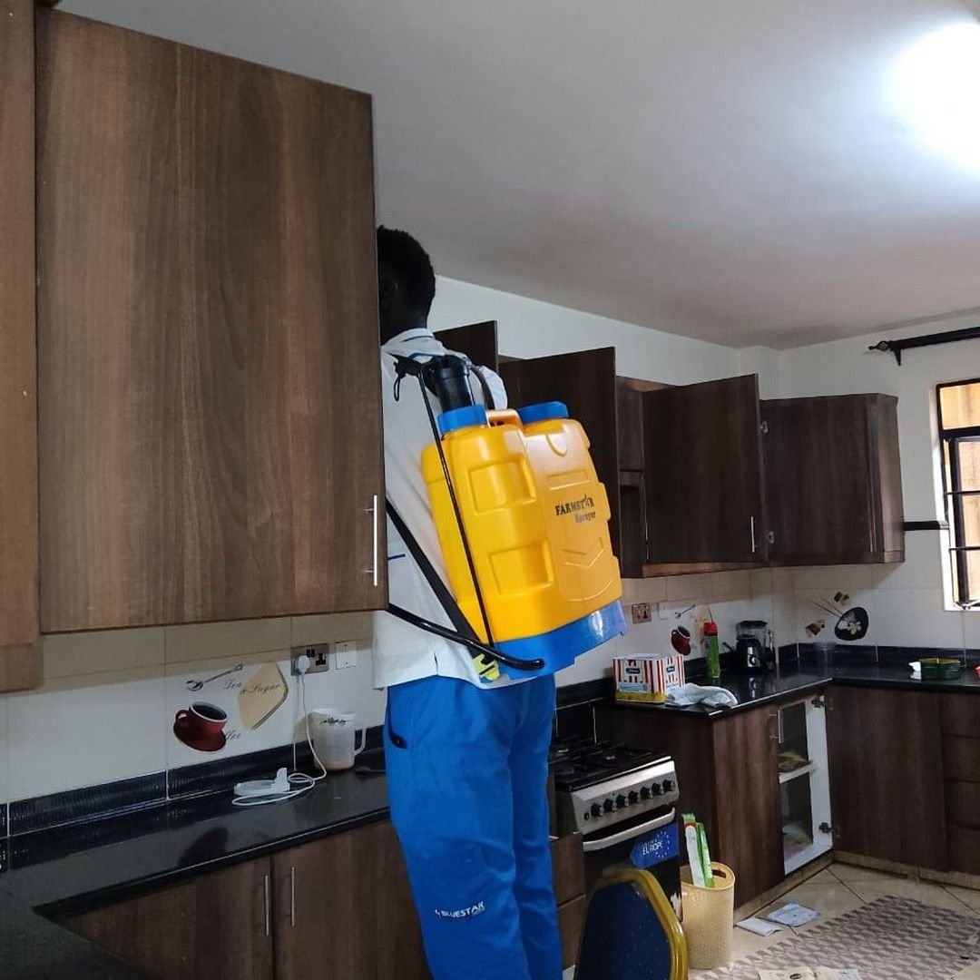 Pest control service project completed in Muscat