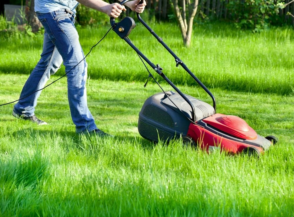 Professional lawn grass cutting and garden maintenance in Muscat