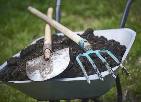 Healthy plant growth and greenhouse soil supply in Oman