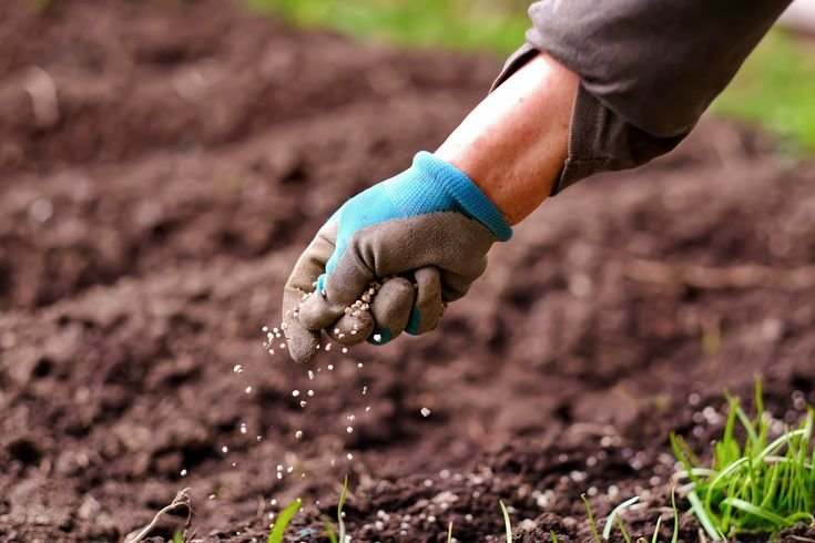 Best soil and fertiliser types for gardens in Muscat