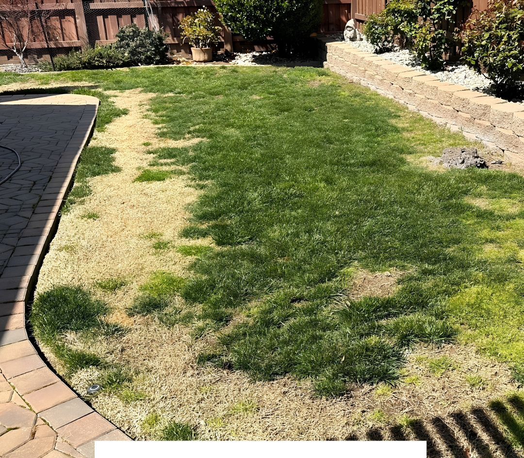 Completed artificial grass installation in Muscat