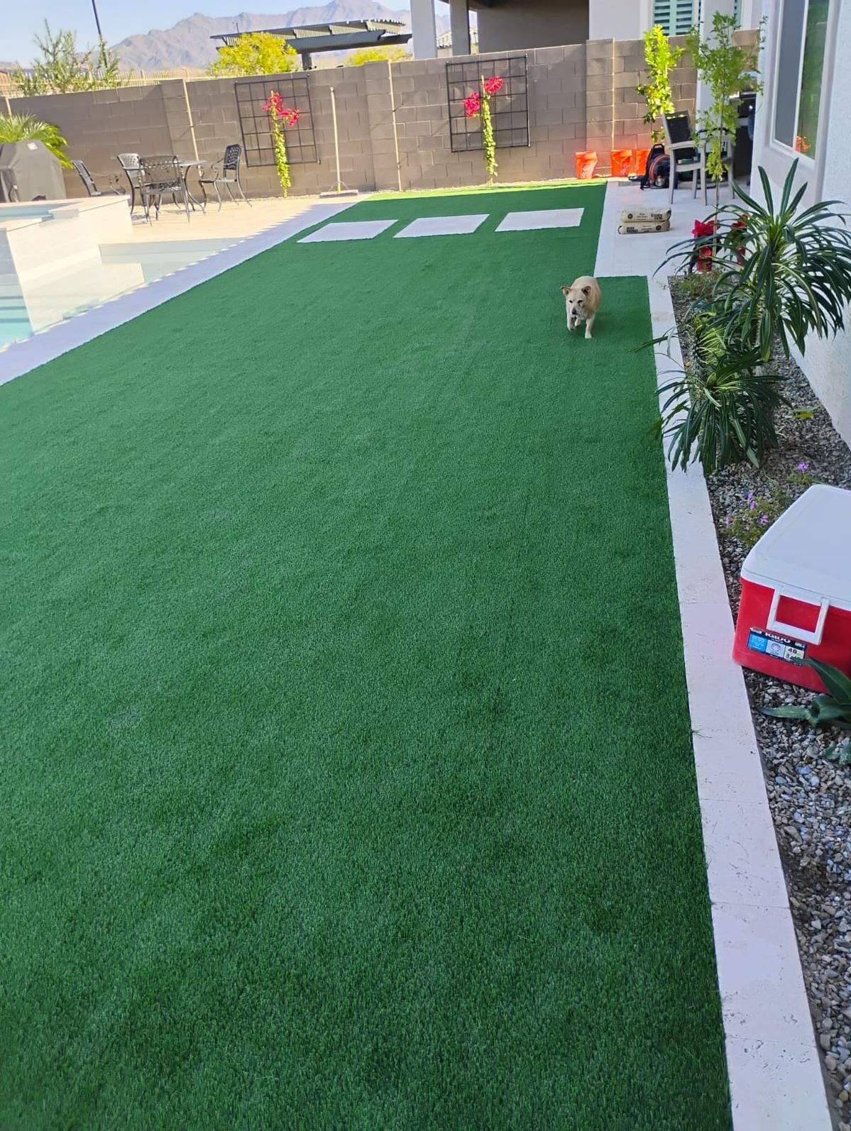 Artificial grass front yard landscaping in Azaiba Muscat