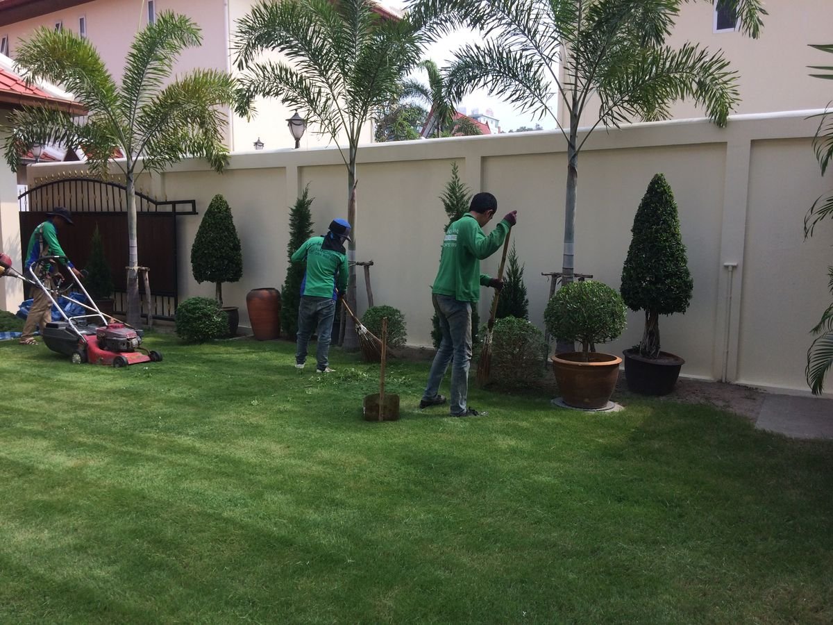 Garden maintenance project completed in Muscat